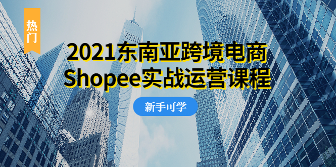 东南亚跨境电商课程_实战_运营_0投资-爱分享资源网