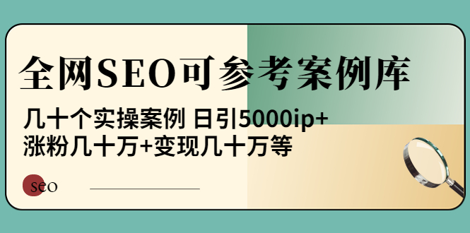 全网SEO参考案例库分享-几十个实操方案-日引5000ip-涨粉百W-变现几十W不等