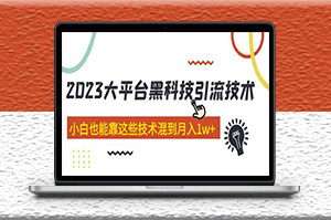 价值4899的2023大平台黑科技引流技术_小白也能月入1w+(共29节课)