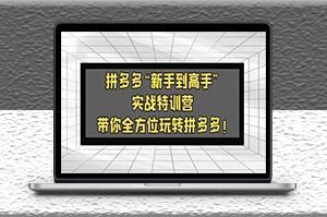 拼多多“新手到高手”实战课：带你全方位玩转拼多多！