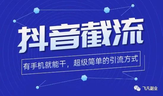 抖音精准截流玩法，4个人一个月变现10万-爱分享资源网