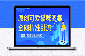 黑科技纯原创可爱猫咪图片_全网短视频精准引流-爱分享资源网