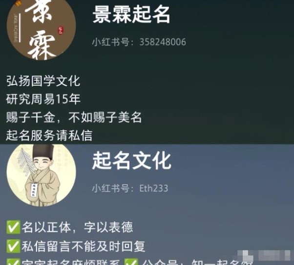 宝宝起名项目，月入1万+保姆级教程!(附赚钱攻略)-爱分享资源网