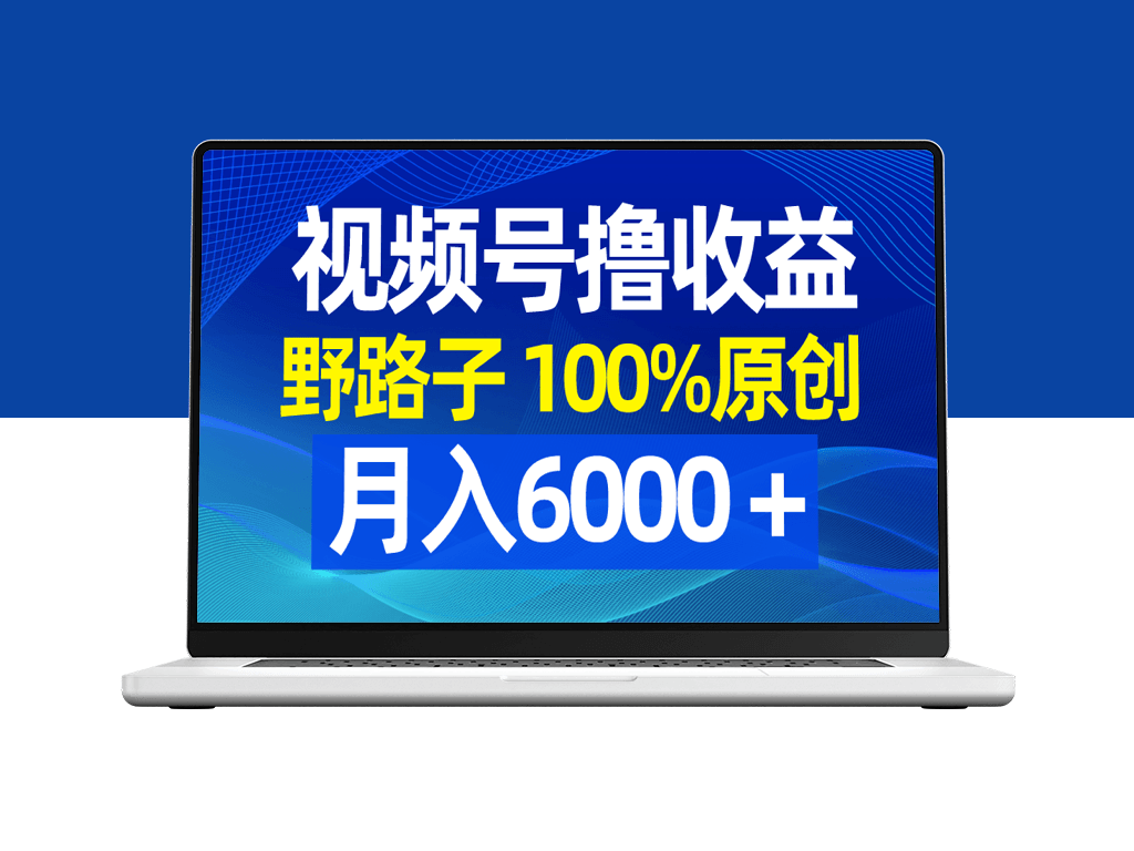 视频号野路子_月入6000＋_100%原创_条条爆款-爱分享资源网