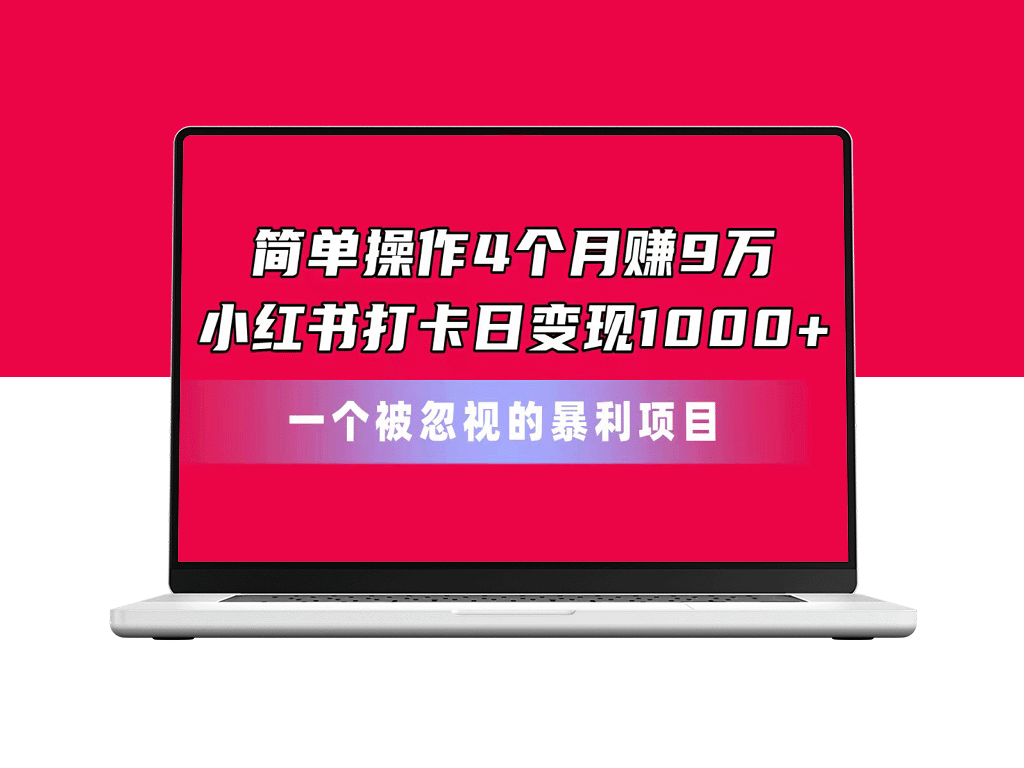 小红书打卡日变现暴利项目_4个月赚取9万收入-爱分享资源网